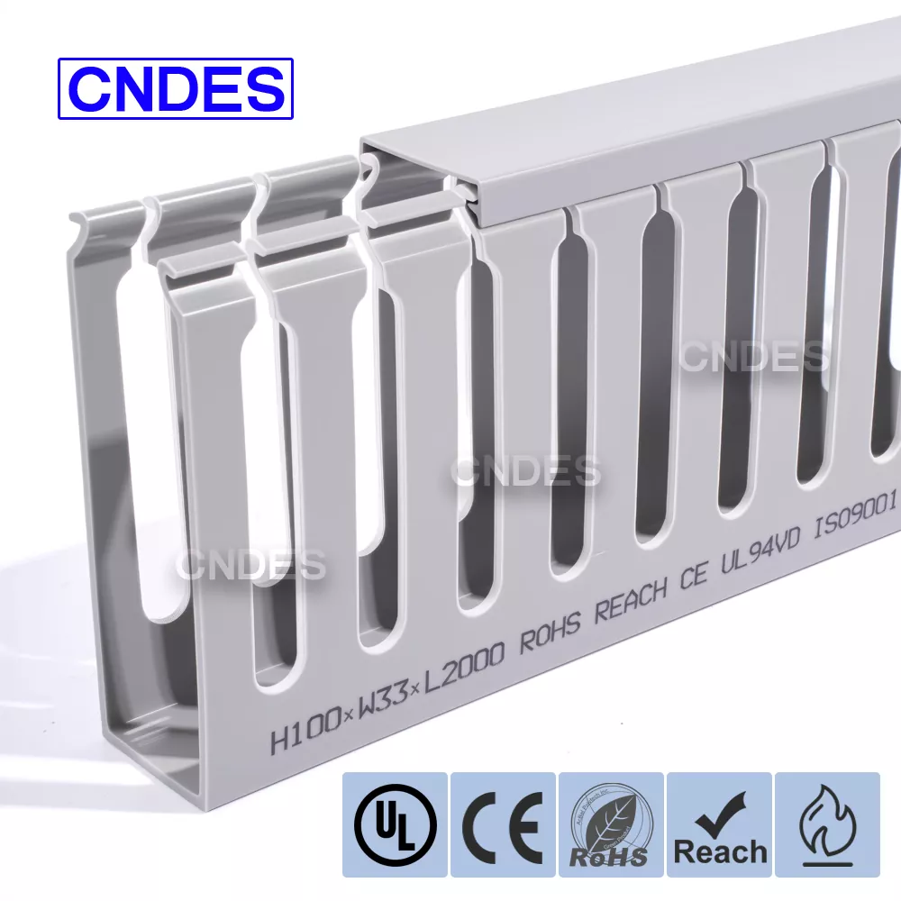 Διαχείριση καλωδίων ραφιών διακομιστή 100×33